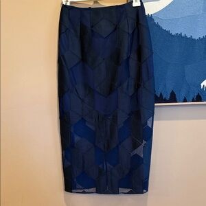 Light Navy XS never worn Geometric Pencil Skirt with sheer lower half